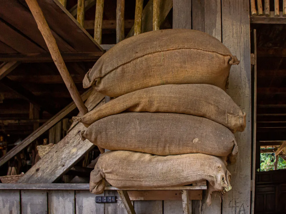Costales de productos agrícolas y alimentos almacenados en el campo